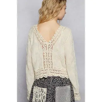 V-Neck Long Sleeve Floral Embroidered Crochet Top