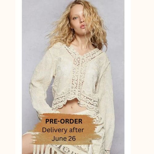 V-Neck Long Sleeve Floral Embroidered Crochet Top